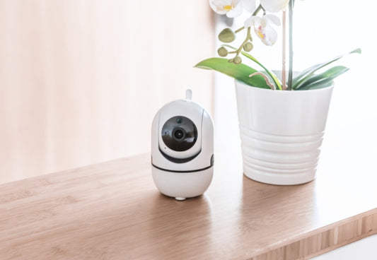 Sigurnosna kamera DIGITUS DN-18603